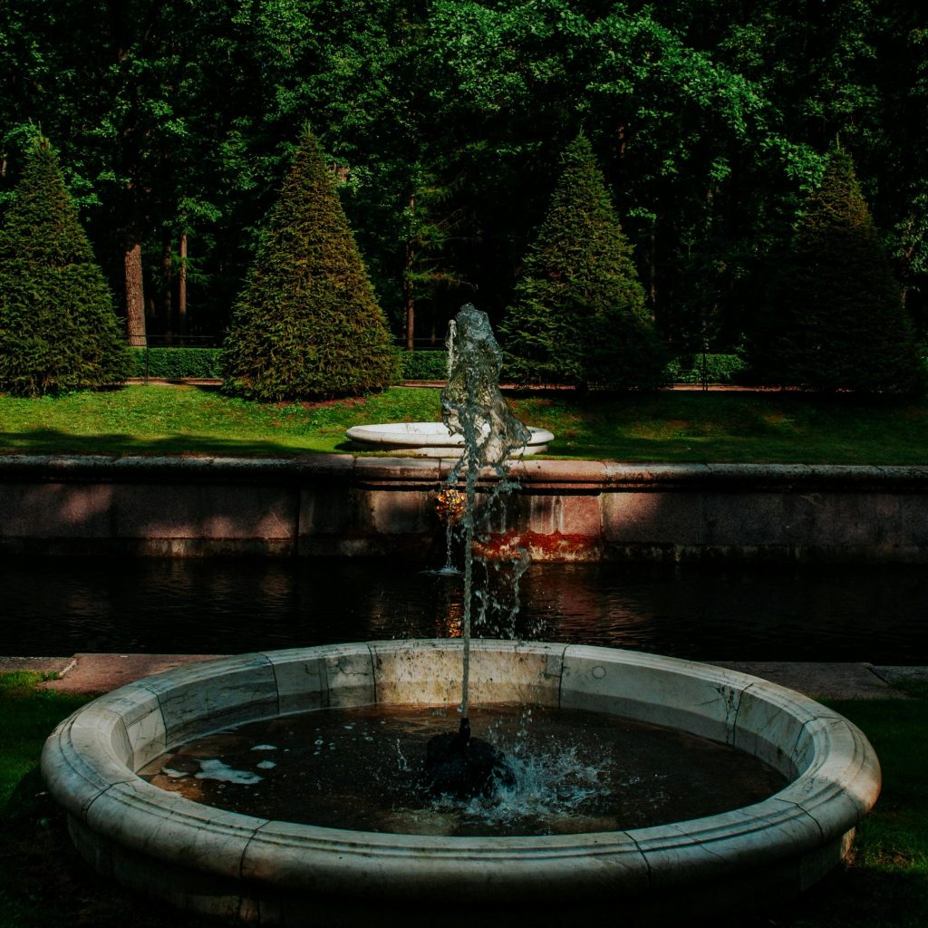 pexels 76906442 9994135