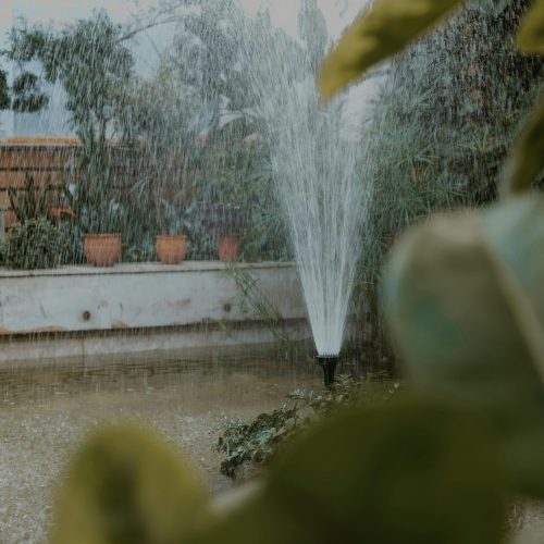 pexels julia malushko 61822729 10341966