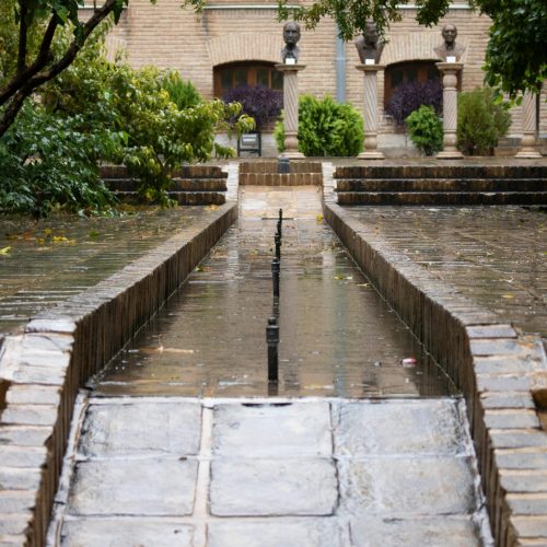 pexels kimiyashabani 14364005